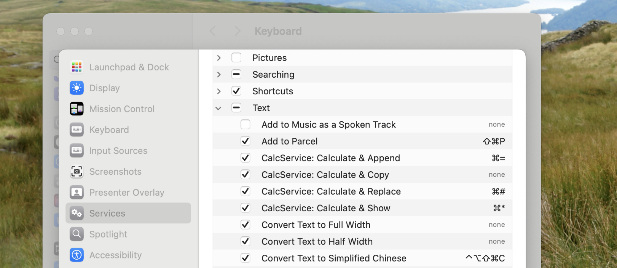 System Settings opened to the Services sub-section of the keyboard shortcuts window. Various services are visible—the user can check the ones they want to enable, and also set keyboard shortcuts.