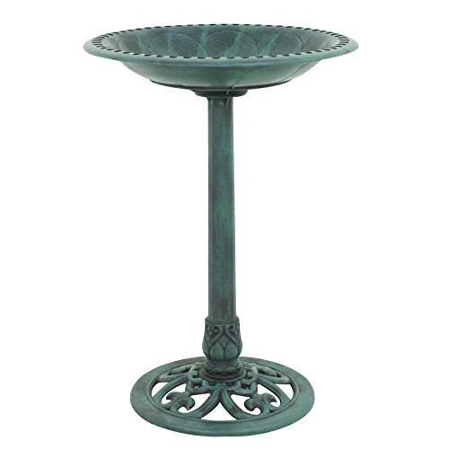 Zeny Birdbath